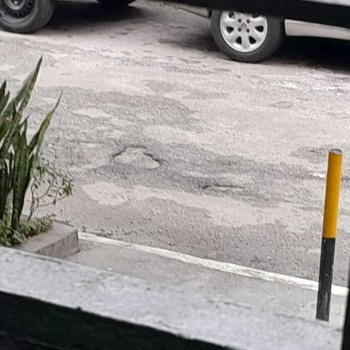 Imagem da publicação