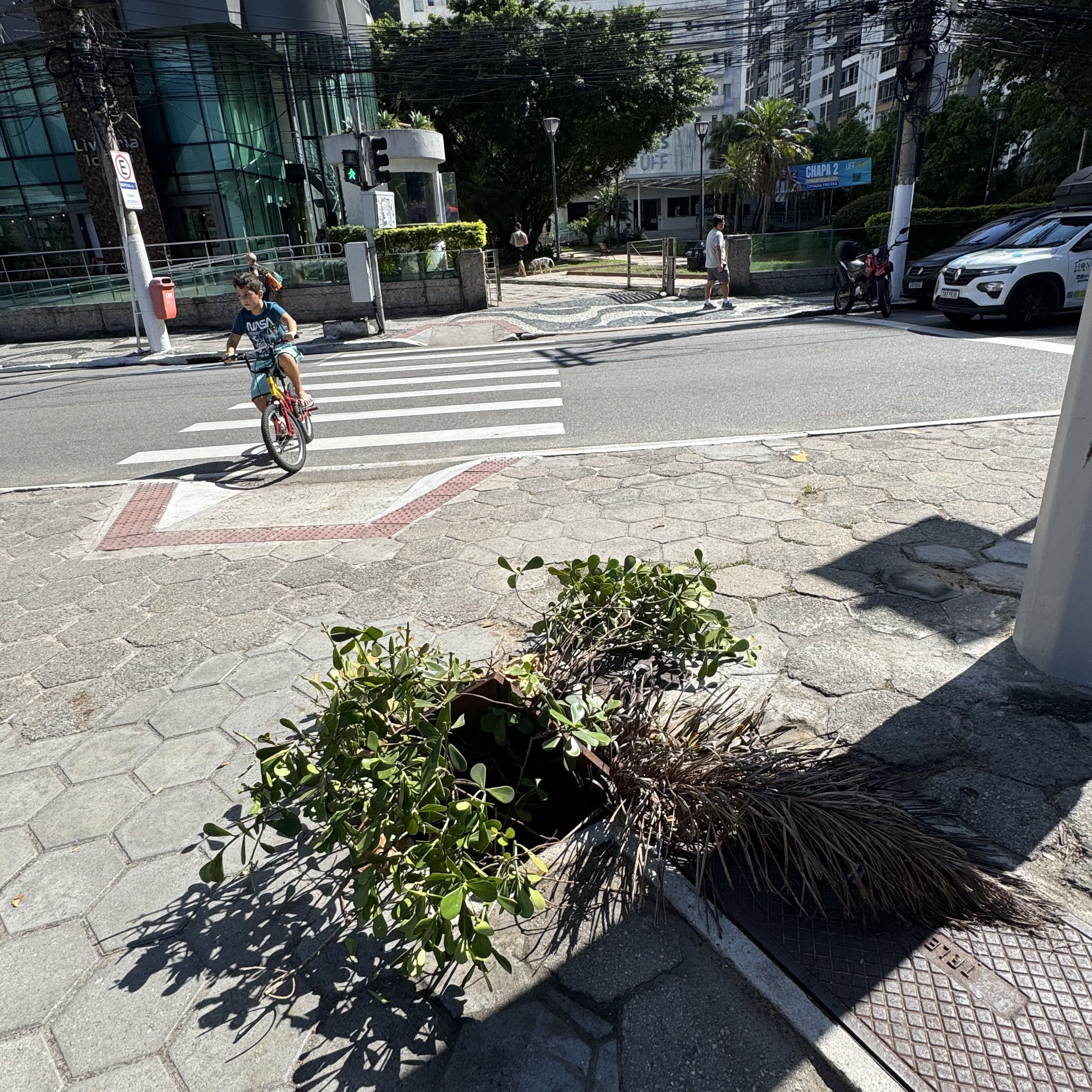Imagem da publicação