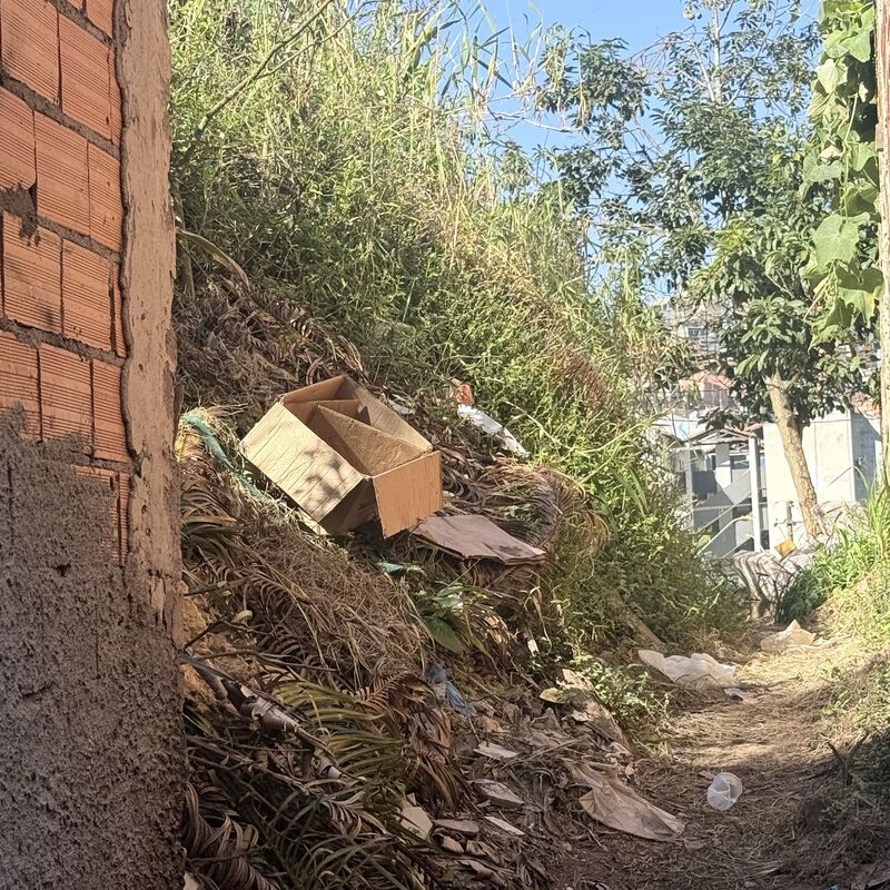 Imagem da publicação