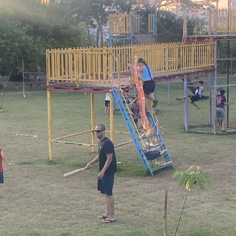 Imagem da publicação