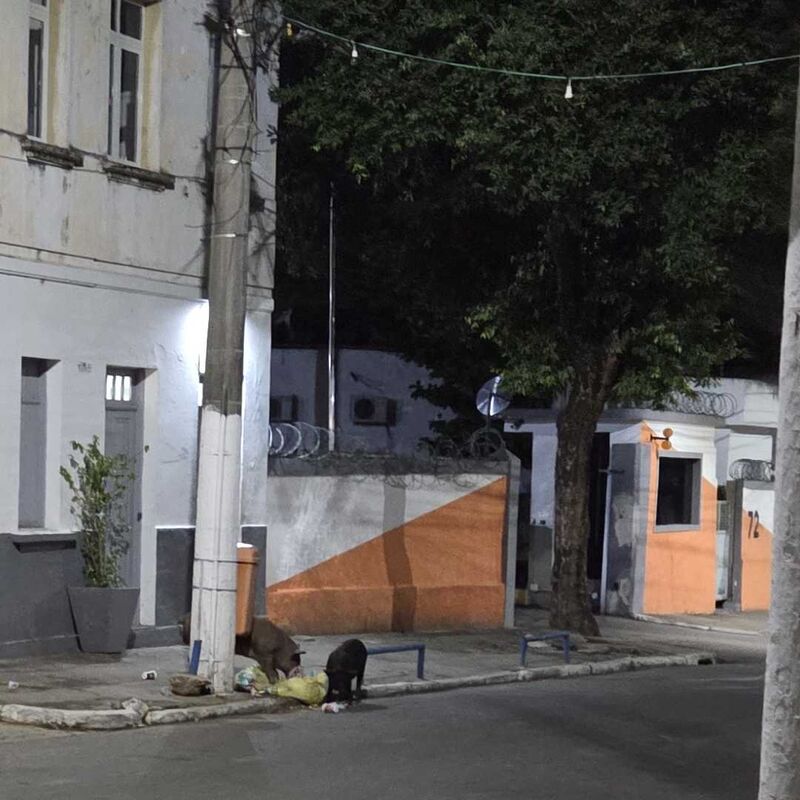 Imagem da publicação