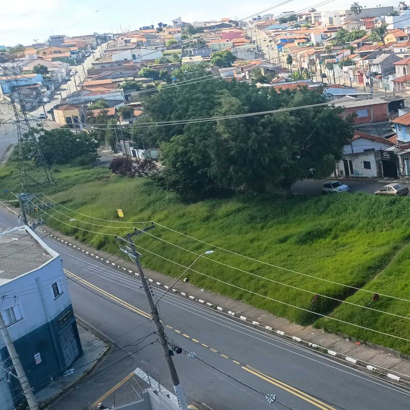 Imagem da publicação