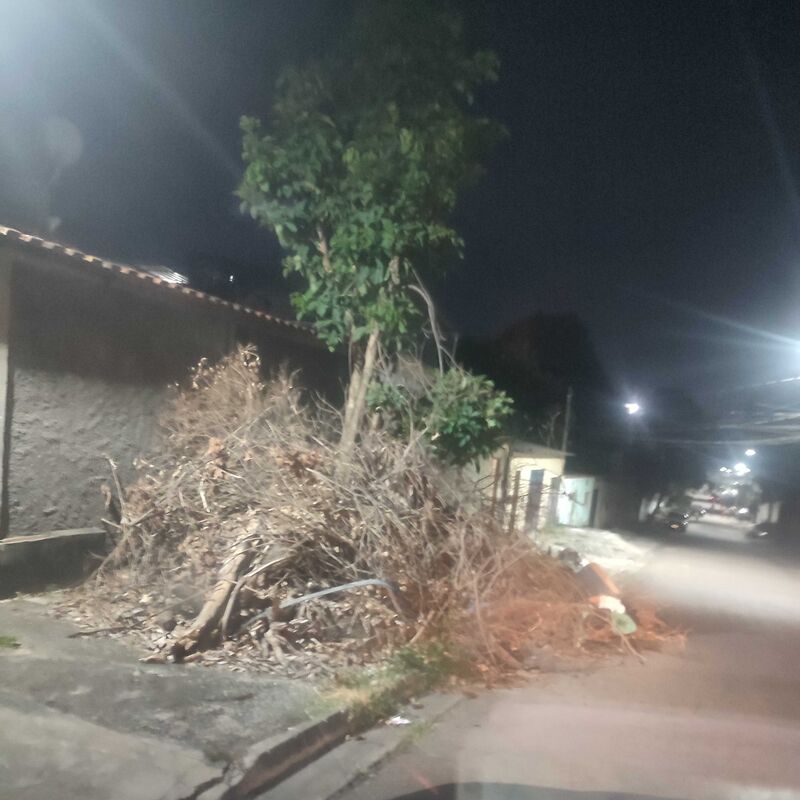 Imagem da publicação