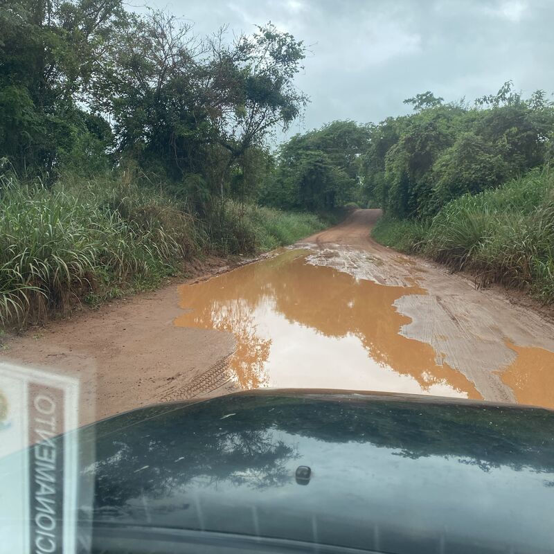 Imagem da publicação