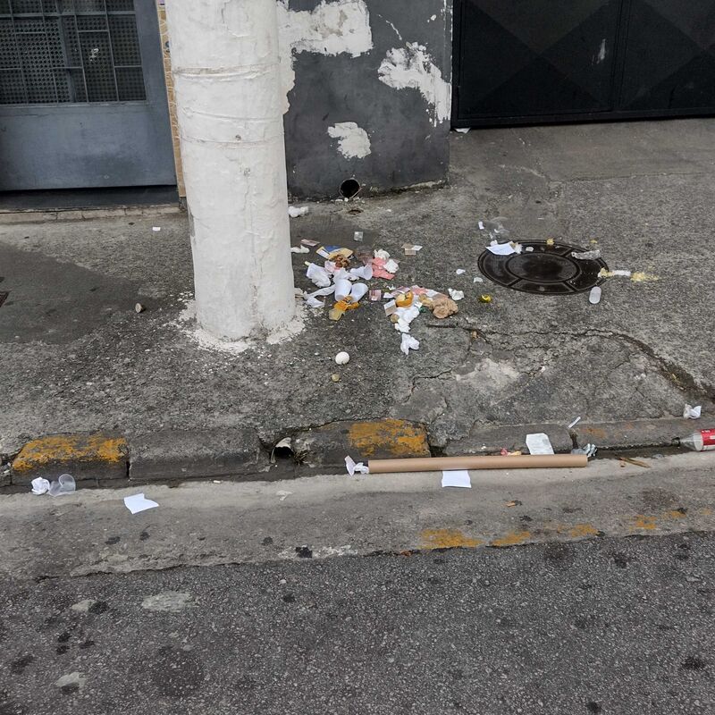 Imagem da publicação