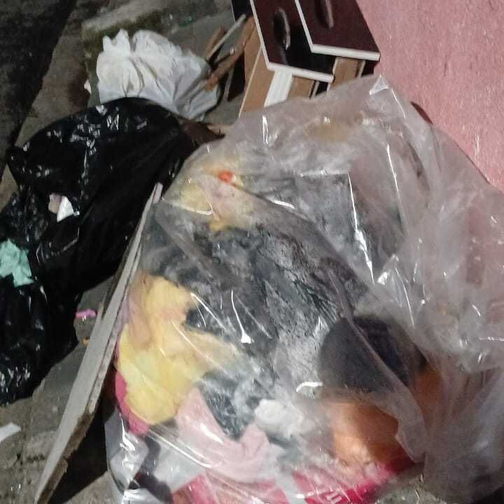 Imagem da publicação