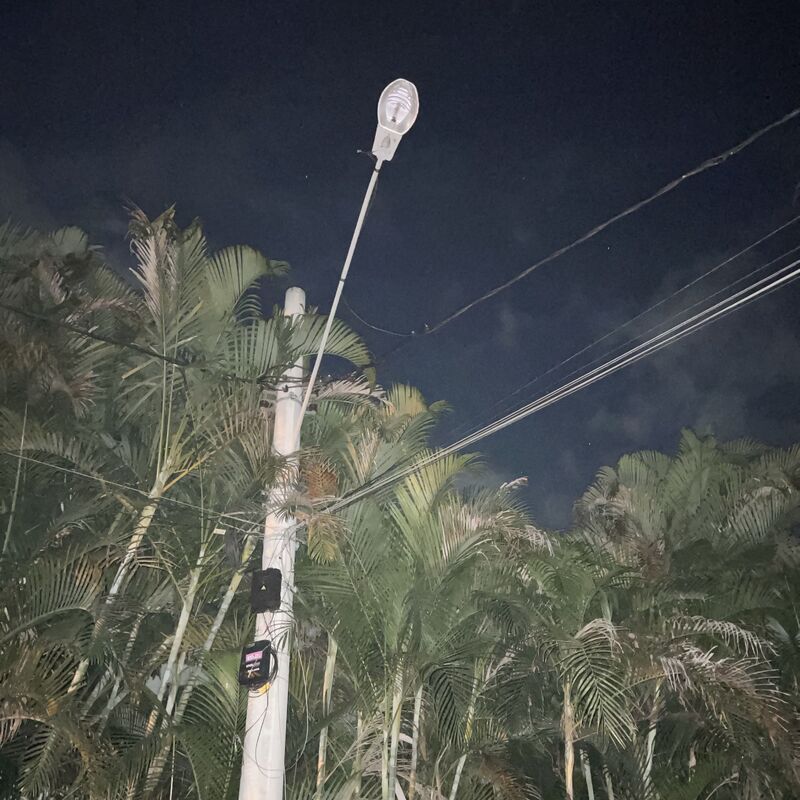 Imagem da publicação