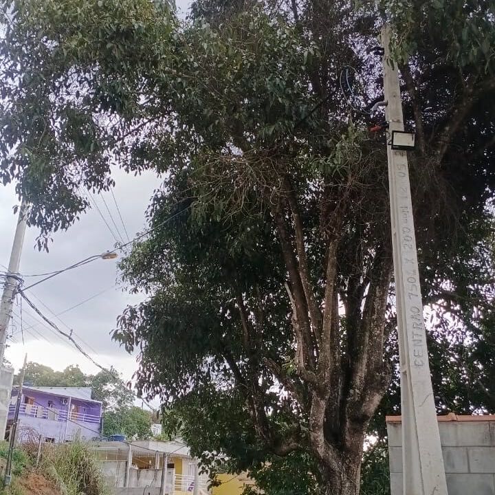 Imagem da publicação