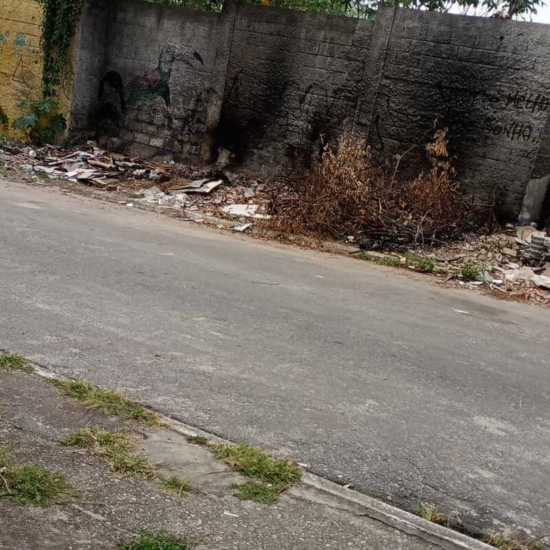Imagem da publicação