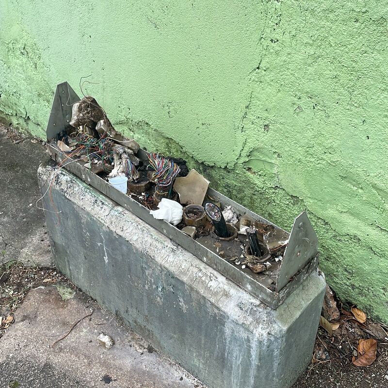 Imagem da publicação