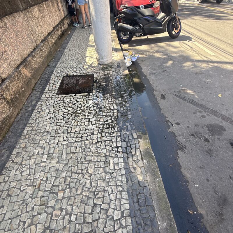 Imagem da publicação