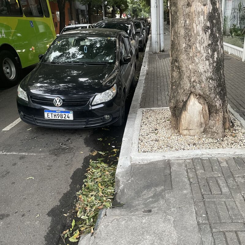 Imagem da publicação