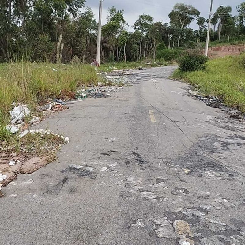 Imagem da publicação