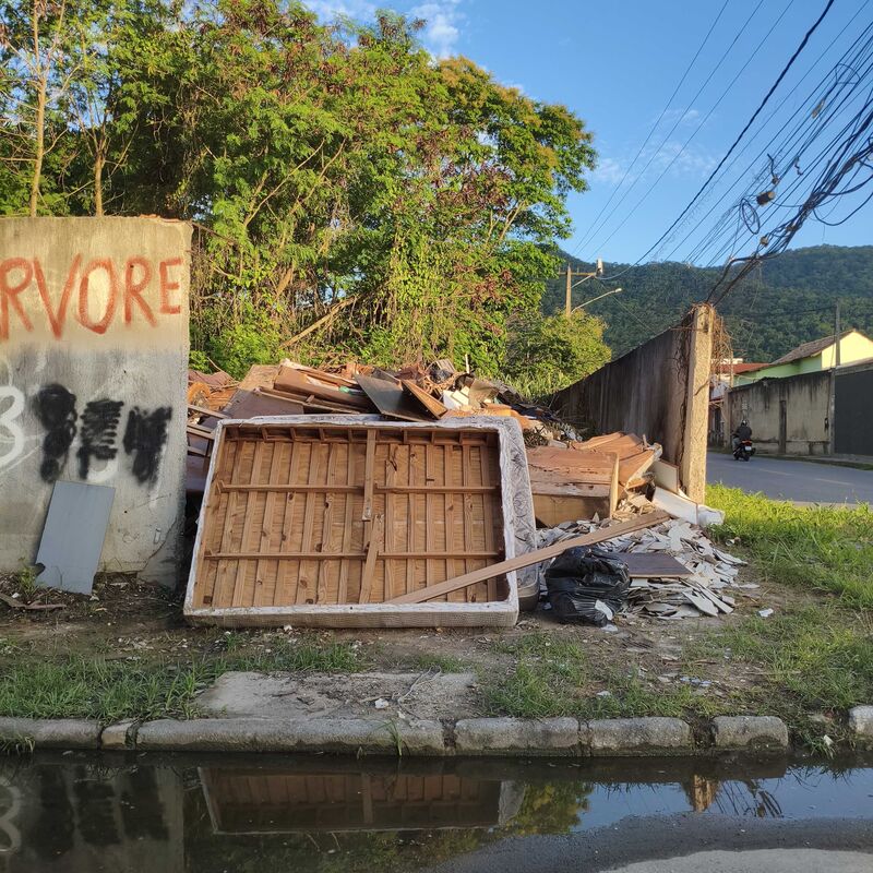 Imagem da publicação