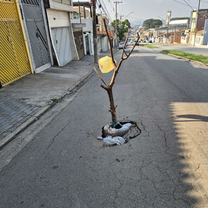 Imagem da publicação