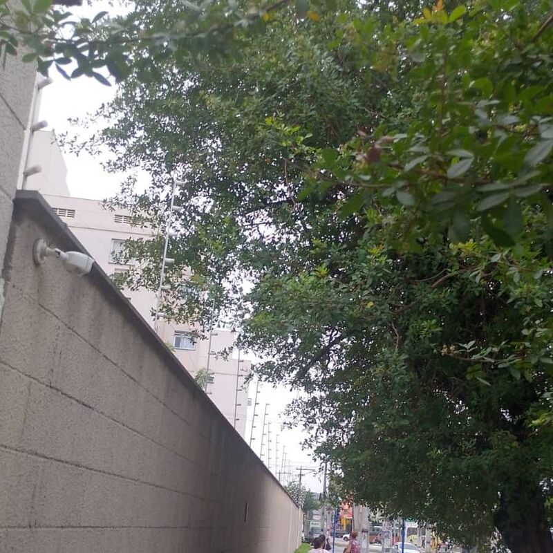 Imagem da publicação