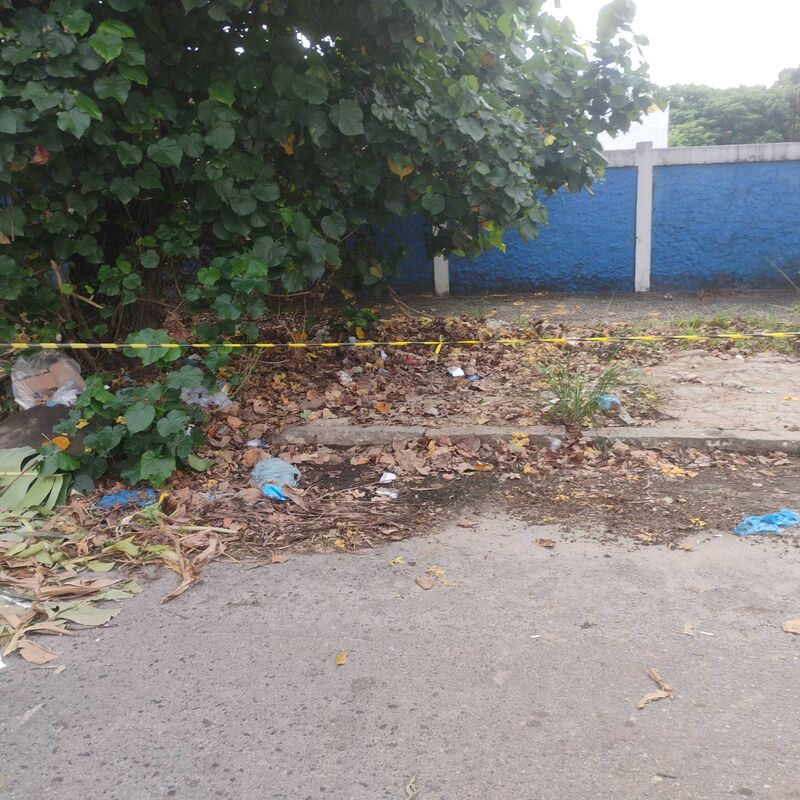 Imagem da publicação