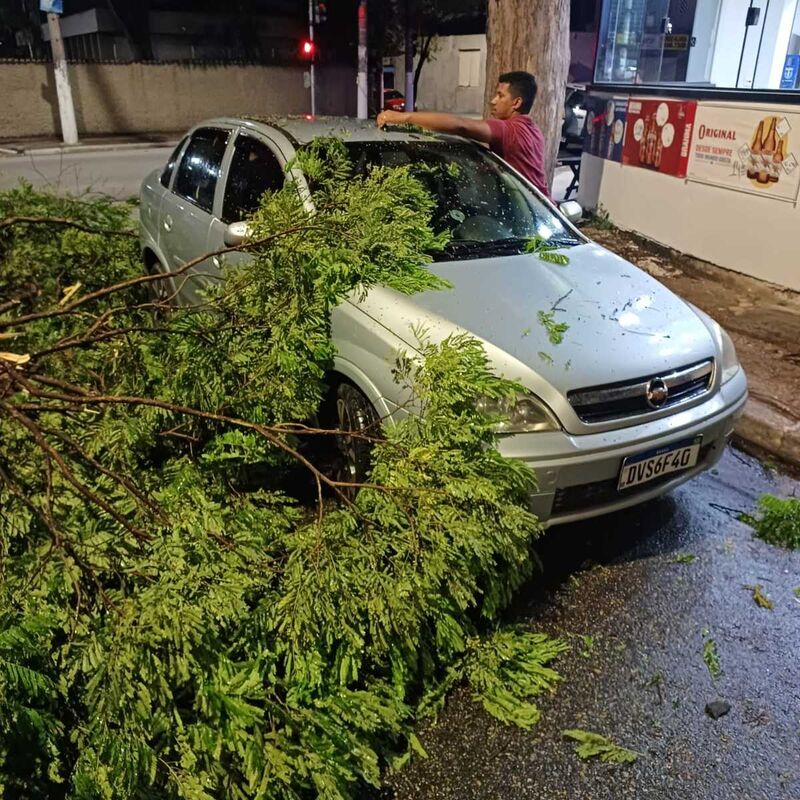 Imagem da publicação