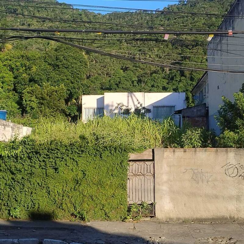 Imagem da publicação