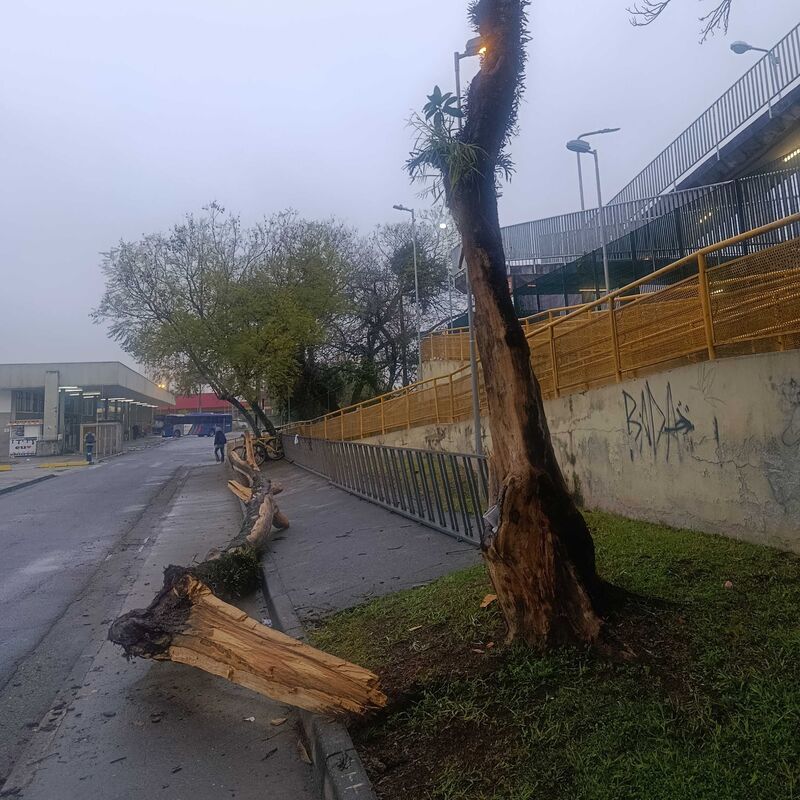 Imagem da publicação