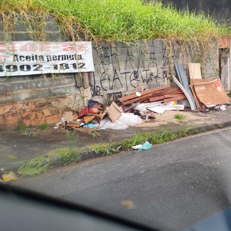 Imagem da publicação