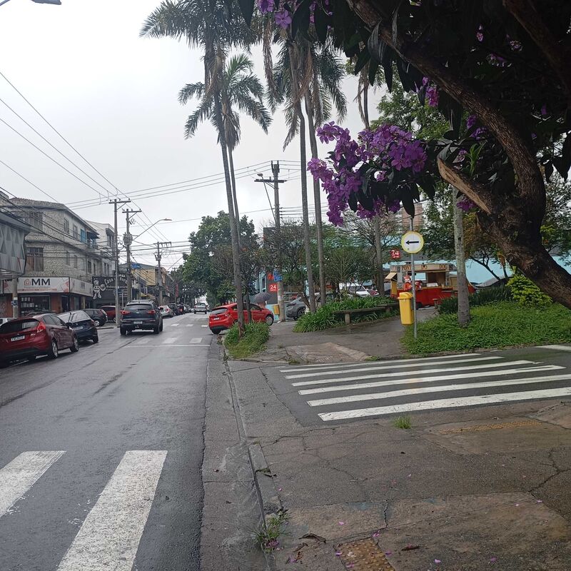 Imagem da publicação