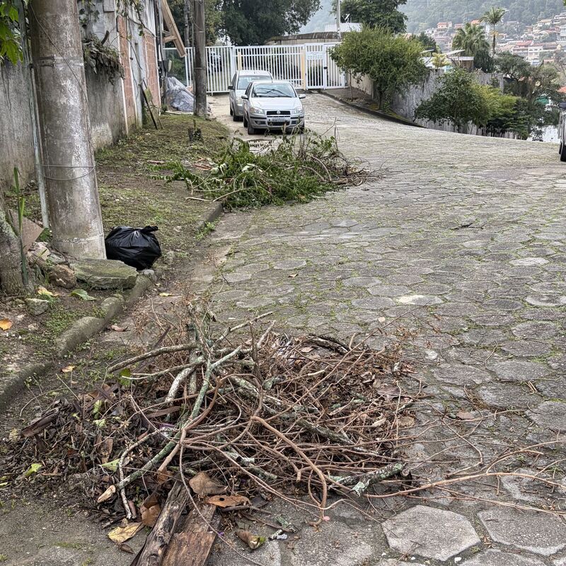 Imagem da publicação
