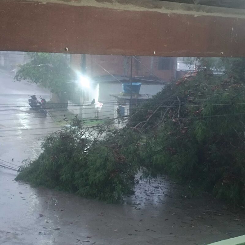 Imagem da publicação