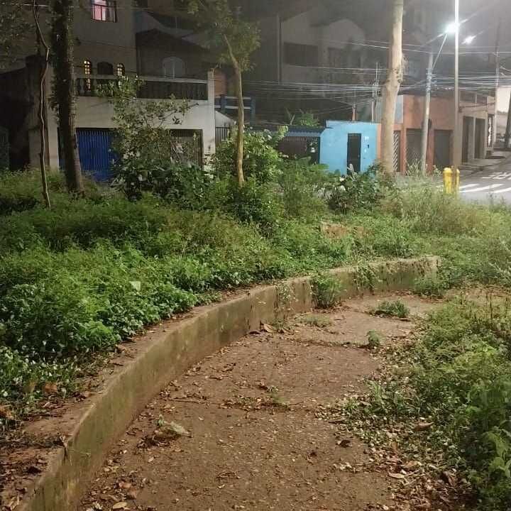 Imagem da publicação