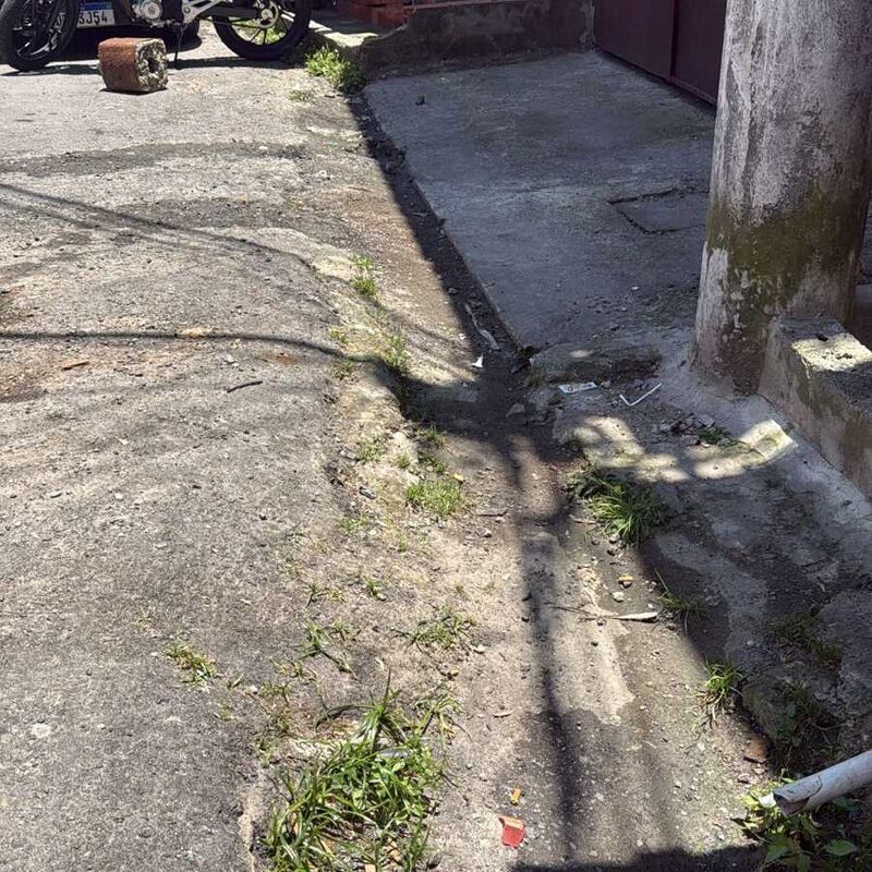 Imagem da publicação