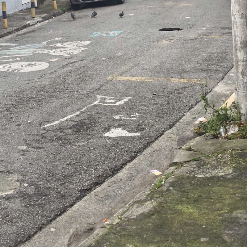 Imagem da publicação