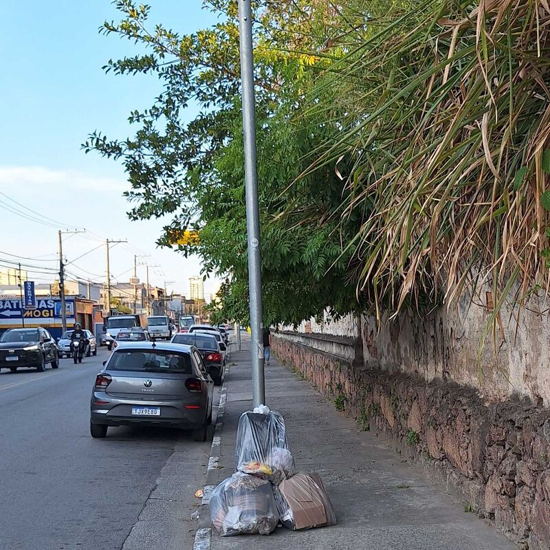 Imagem da publicação