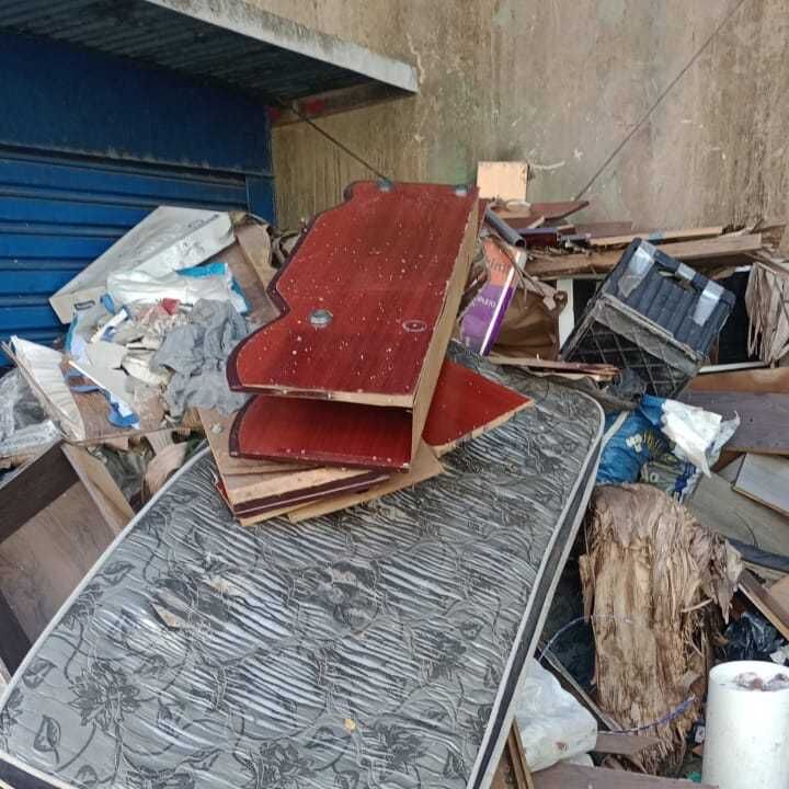 Imagem da publicação