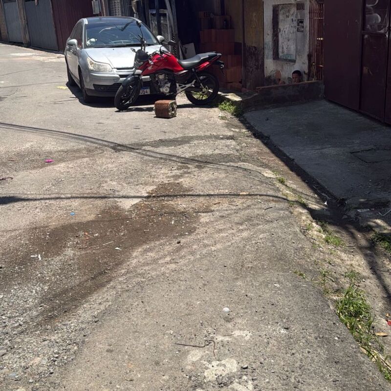 Imagem da publicação