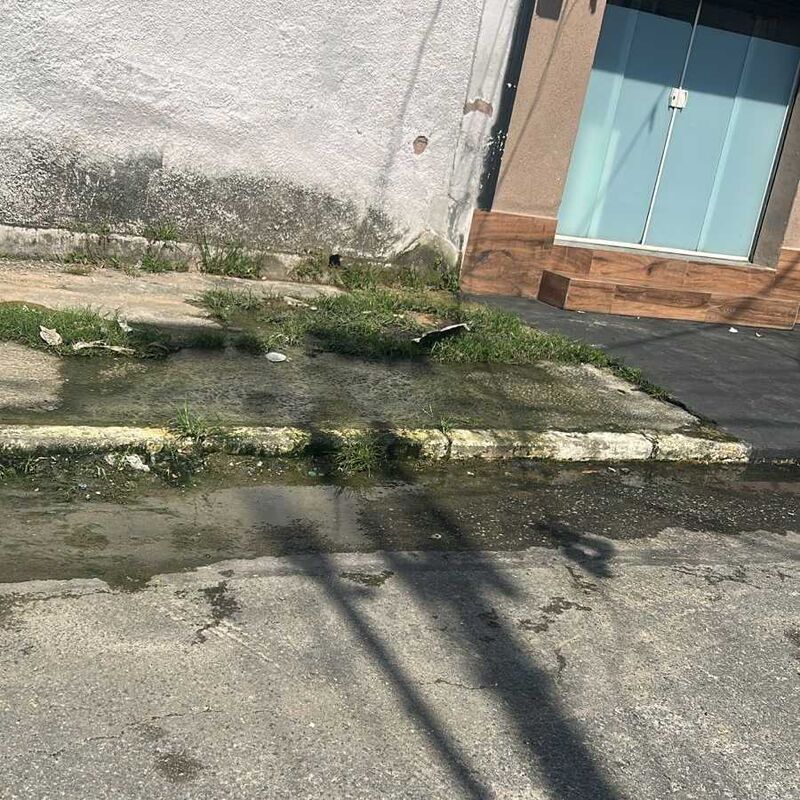 Imagem da publicação