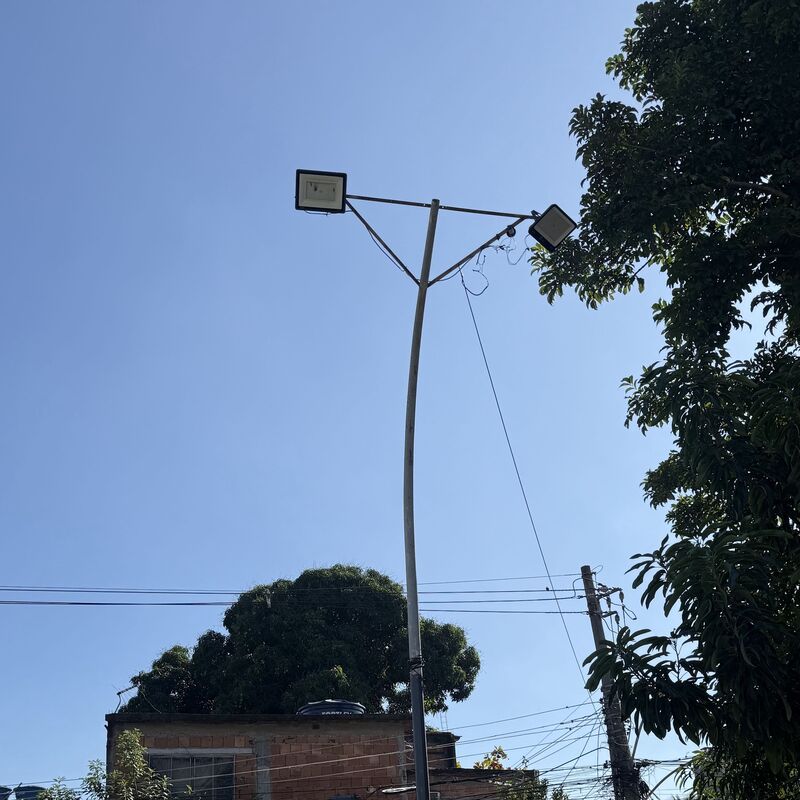 Imagem da publicação