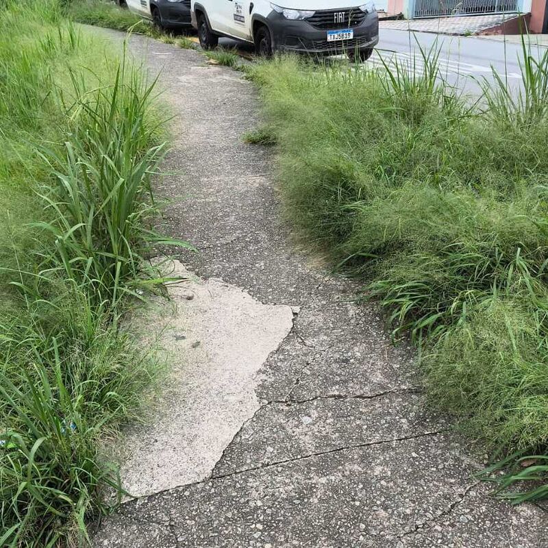 Imagem da publicação