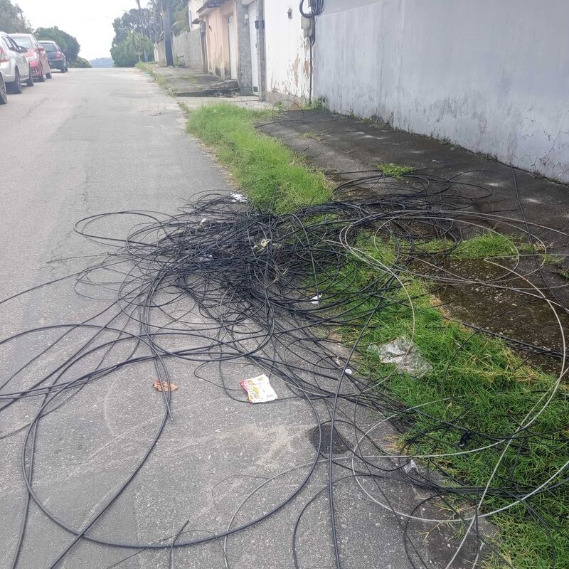 Imagem da publicação
