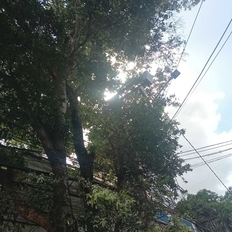 Imagem da publicação