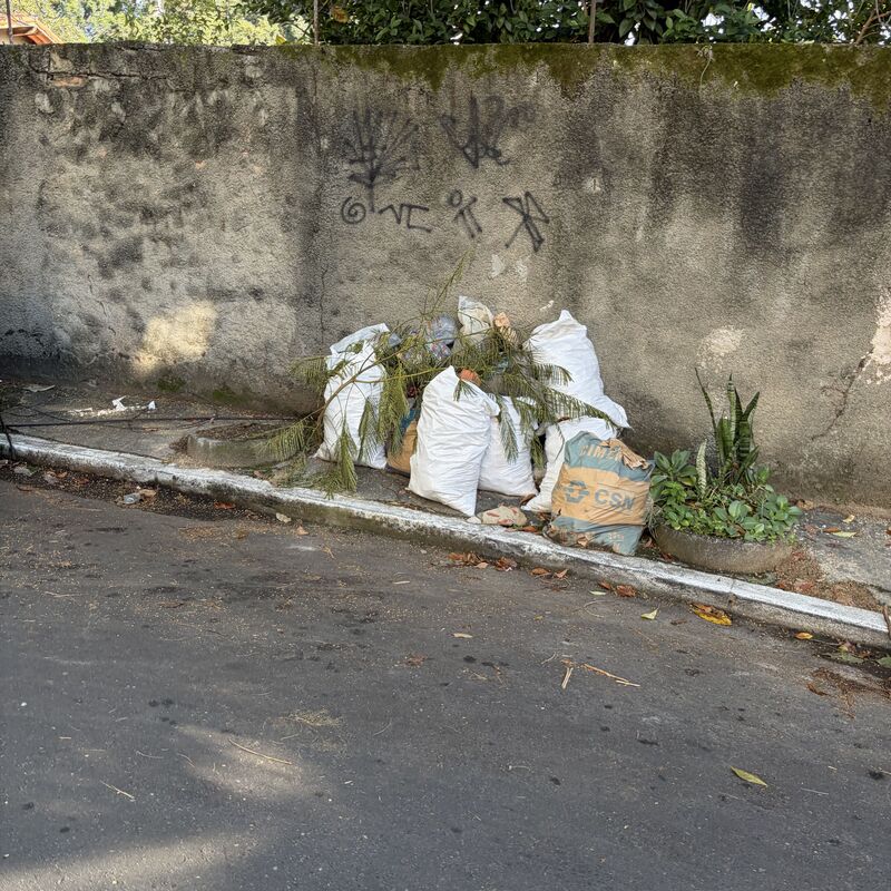 Imagem da publicação