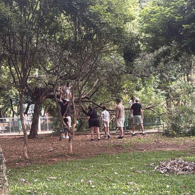 Imagem da publicação