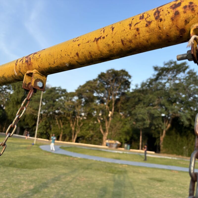 Imagem da publicação