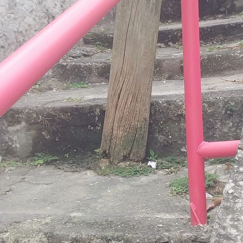 Imagem da publicação