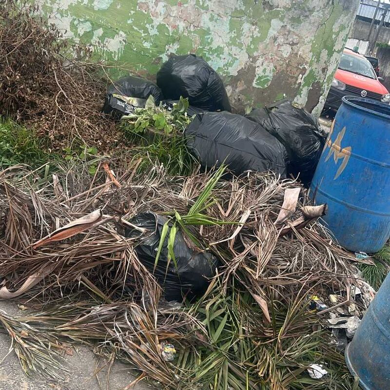 Imagem da publicação