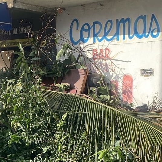 Imagem da publicação