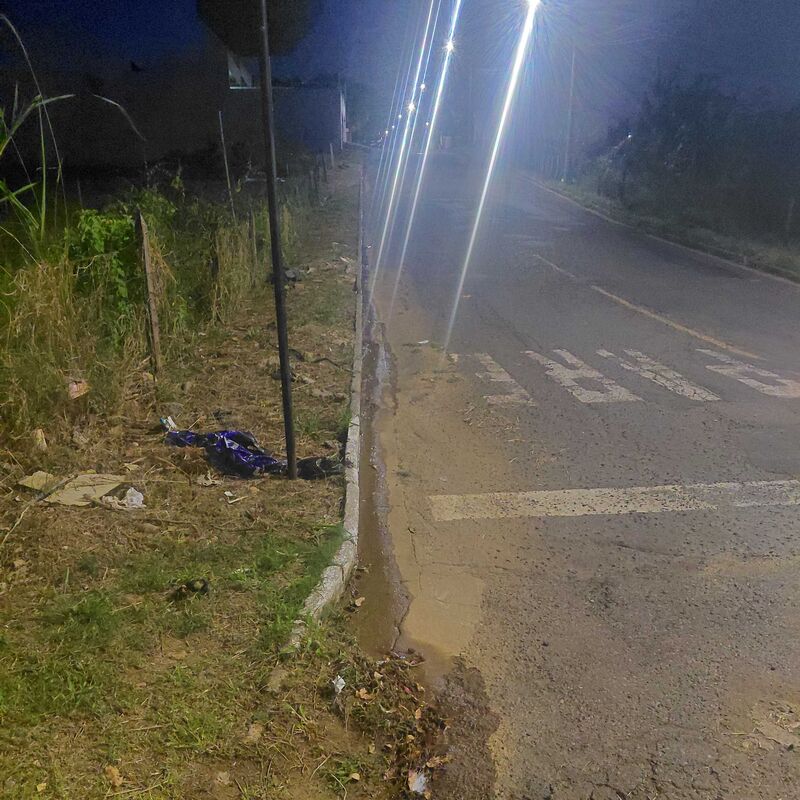 Imagem da publicação