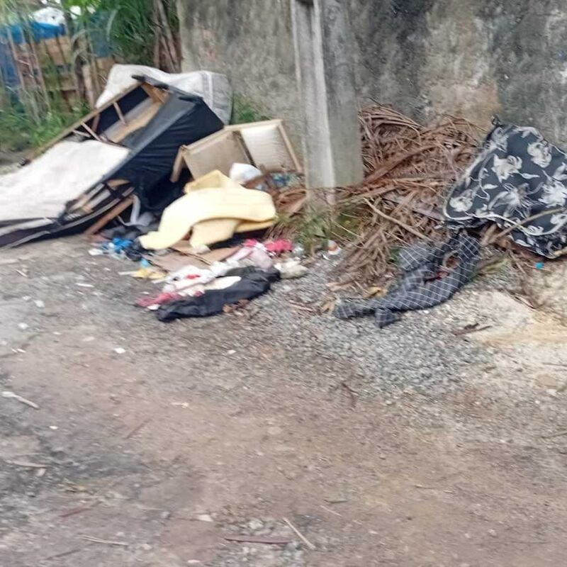 Imagem da publicação