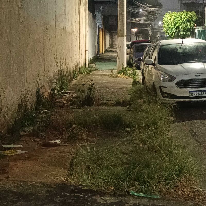 Imagem da publicação