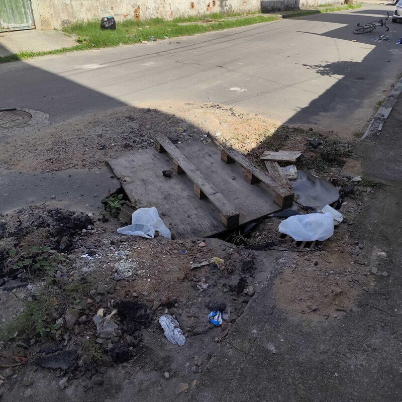 Imagem da publicação