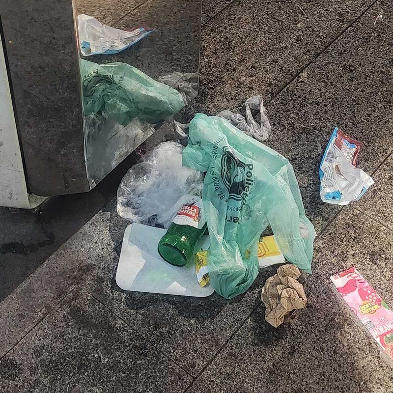 Imagem da publicação